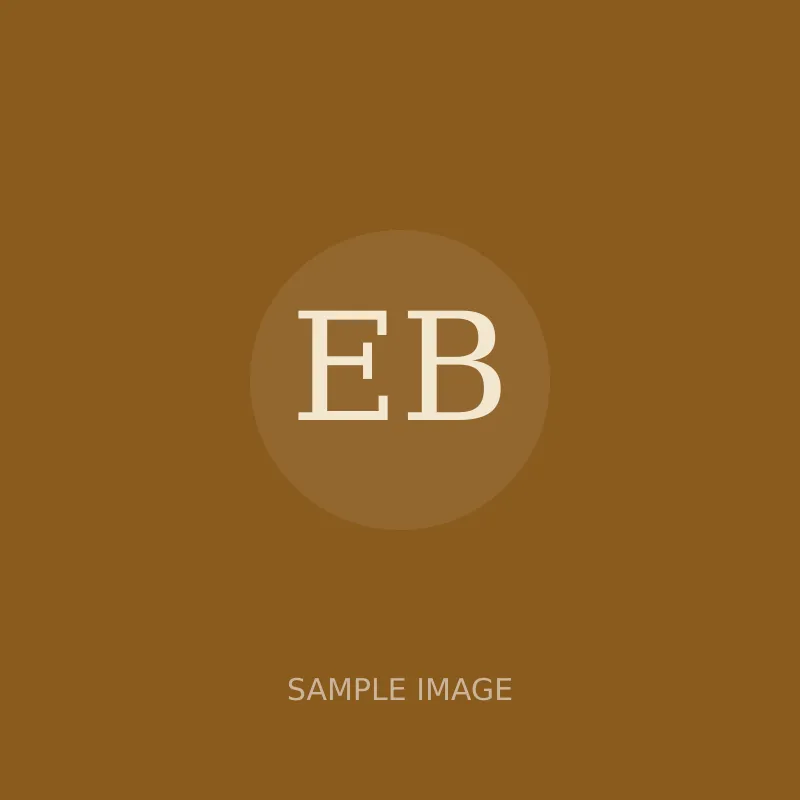 Electric bakhoor burner, portable